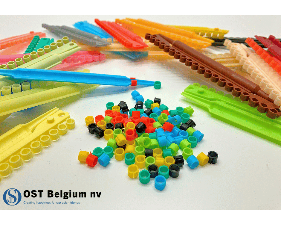 Geteilter PVC-Ring/20 Stück. Verschiedene Farben. BOX 24 Stück