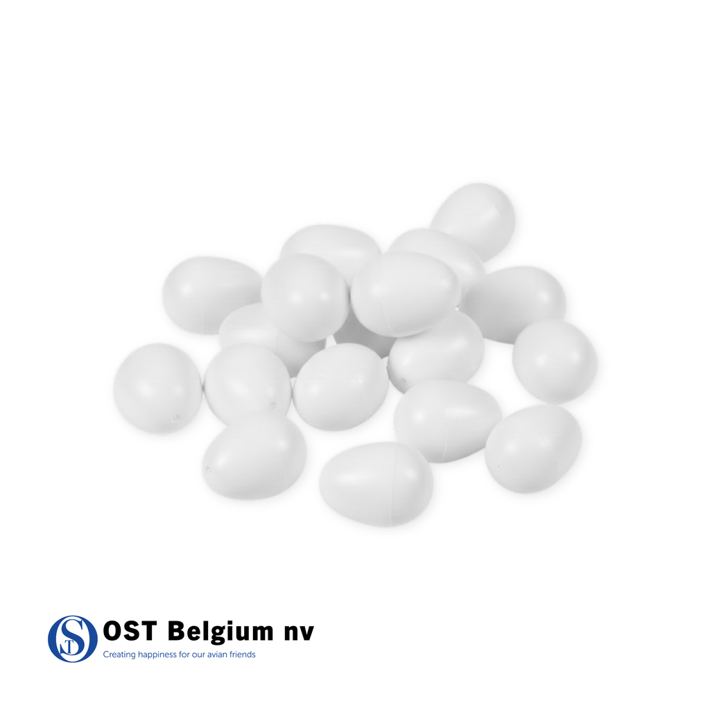 Oeuf en plastique 100 pièces